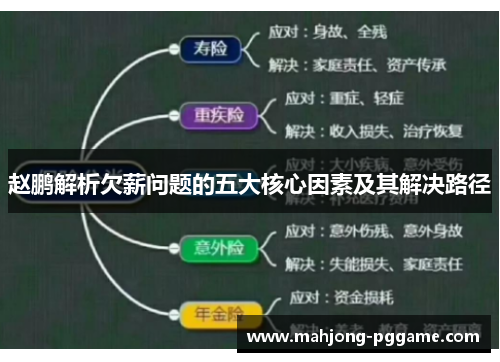 赵鹏解析欠薪问题的五大核心因素及其解决路径