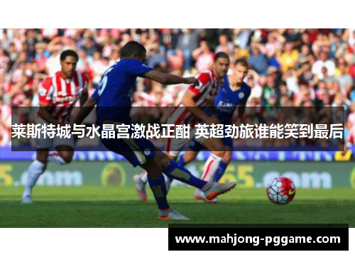 莱斯特城与水晶宫激战正酣 英超劲旅谁能笑到最后 莱斯特城与水晶宫激战正酣 英超劲旅谁能笑到最后