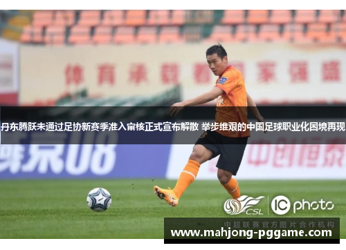 丹东腾跃未通过足协新赛季准入审核正式宣布解散 举步维艰的中国足球职业化困境再现