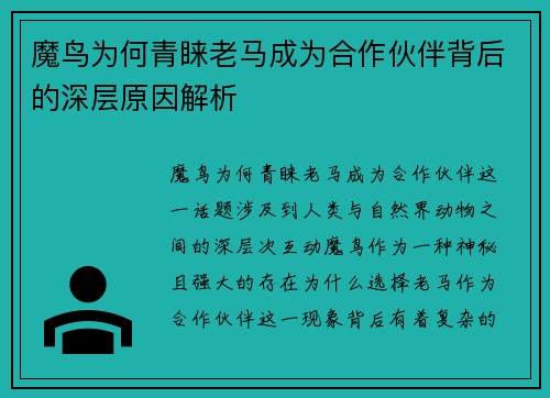 魔鸟为何青睐老马成为合作伙伴背后的深层原因解析